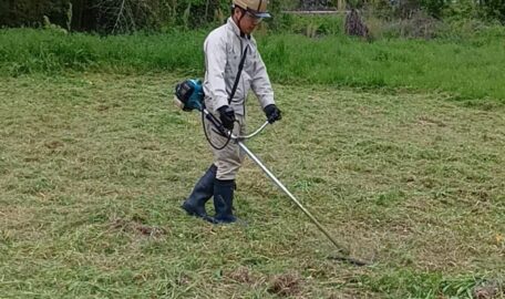 草刈り・草取りお受けします！